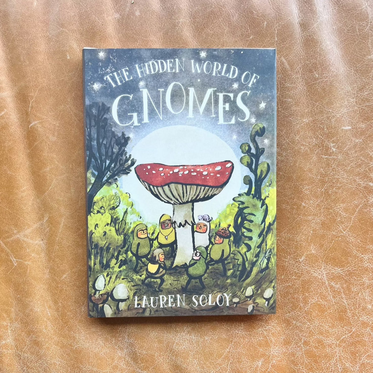 The Hidden World of Gnomes Midland Shop