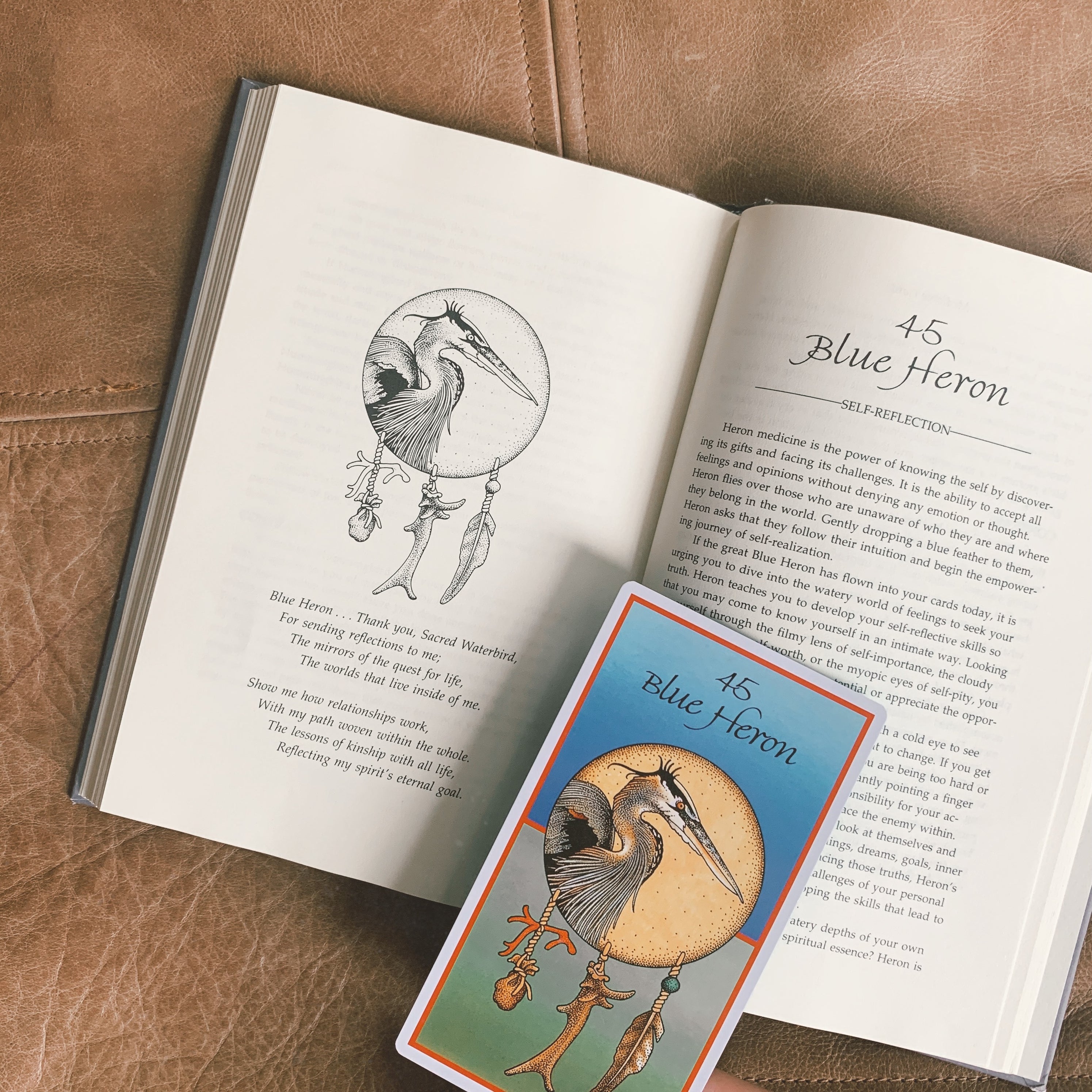 Animal Medicine Card & Book Set Midland Shop