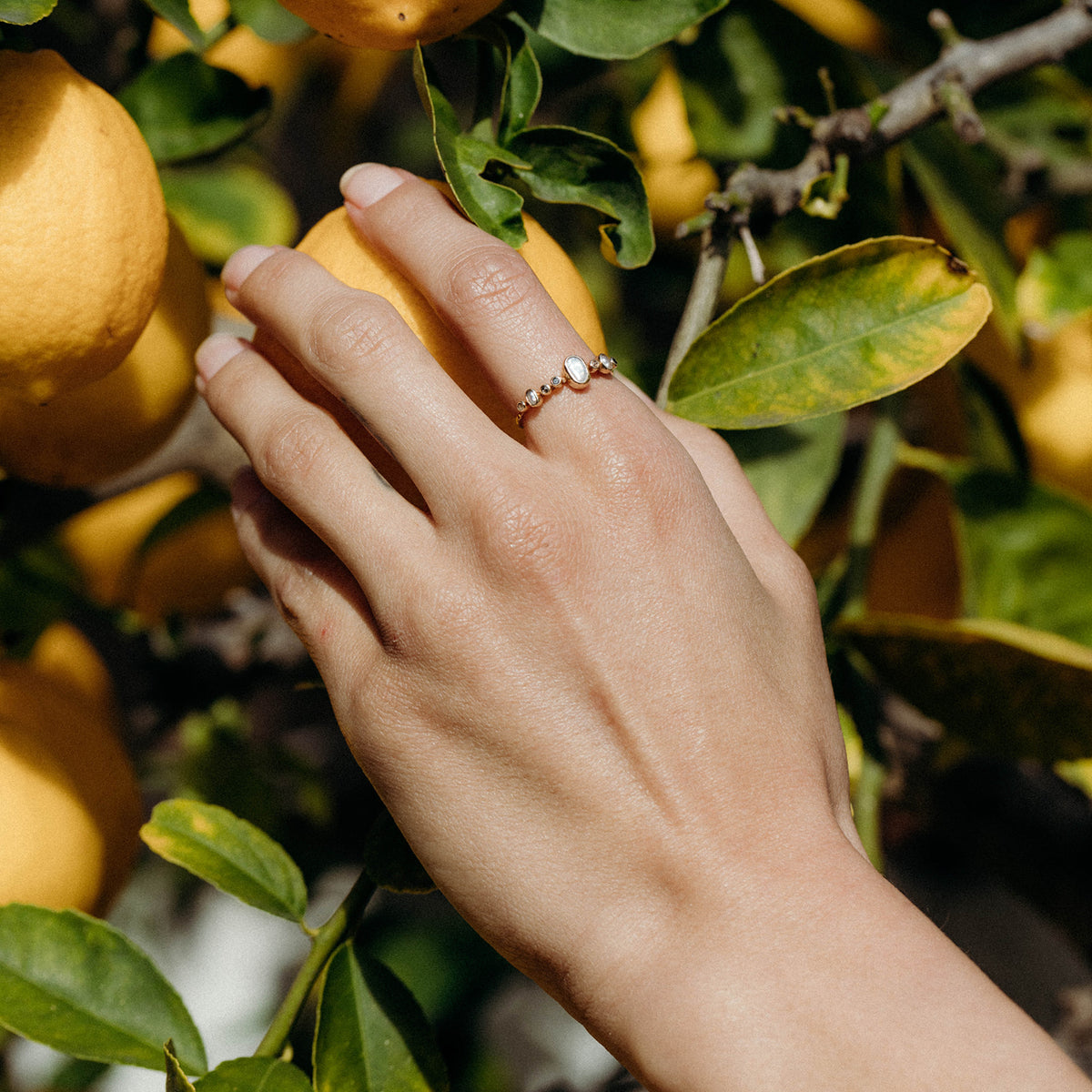 JEWELRY Midland Shop